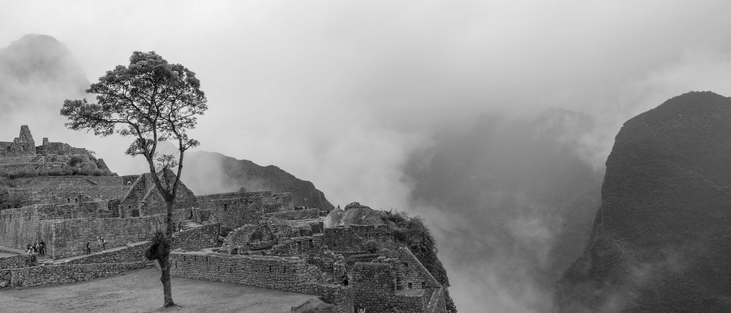 Machu Picchu Panorama