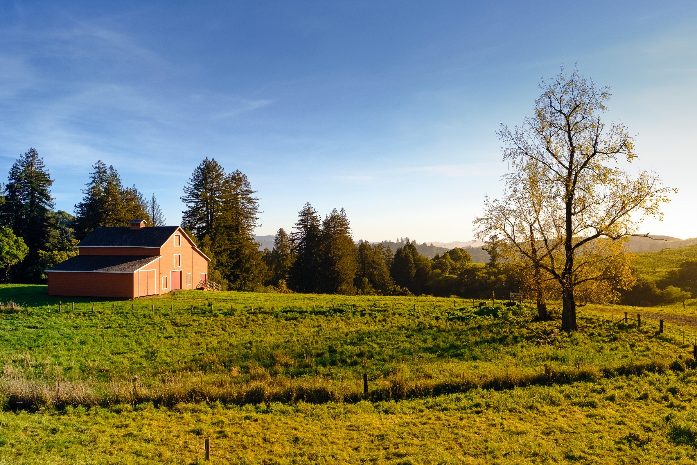 Barn at Golden Hour