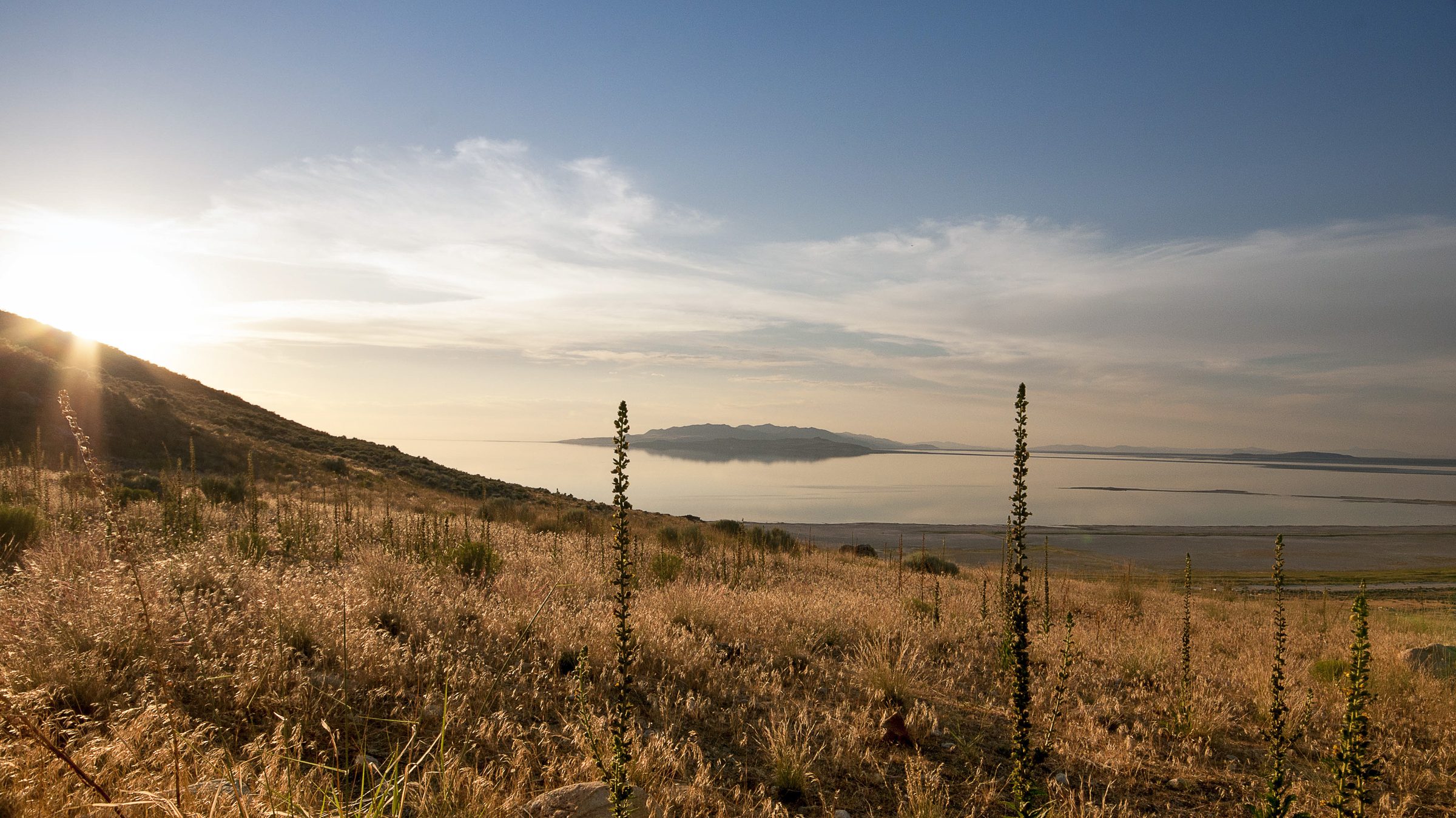 Mountain Valley Vista